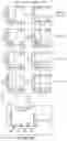 Fig. 06 - CHIMERIC ANTIGEN RECEPTOR COMPRISING INTERLEUKIN-15 INTRACELLULAR DOMAIN AND USES THEREOF