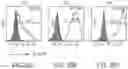Fig. 28 - CHIMERIC ANTIGEN RECEPTOR COMPRISING INTERLEUKIN-15 INTRACELLULAR DOMAIN AND USES THEREOF