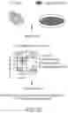 Fig. 31 - CHIMERIC ANTIGEN RECEPTOR COMPRISING INTERLEUKIN-15 INTRACELLULAR DOMAIN AND USES THEREOF