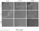 Fig. 37 - CHIMERIC ANTIGEN RECEPTOR COMPRISING INTERLEUKIN-15 INTRACELLULAR DOMAIN AND USES THEREOF