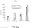 Fig. 41 - CHIMERIC ANTIGEN RECEPTOR COMPRISING INTERLEUKIN-15 INTRACELLULAR DOMAIN AND USES THEREOF