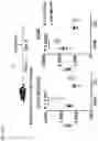 Fig. 36 - ANTI-MERTK ANTIBODIES AND THEIR METHODS OF USE