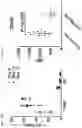 Fig. 43 - ANTI-MERTK ANTIBODIES AND THEIR METHODS OF USE