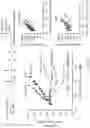Fig. 47 - ANTI-MERTK ANTIBODIES AND THEIR METHODS OF USE