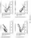 Fig. 48 - ANTI-MERTK ANTIBODIES AND THEIR METHODS OF USE