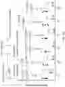 Fig. 49 - ANTI-MERTK ANTIBODIES AND THEIR METHODS OF USE