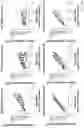 Fig. 62 - ANTI-MERTK ANTIBODIES AND THEIR METHODS OF USE