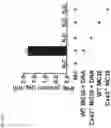 Fig. 67 - ANTI-MERTK ANTIBODIES AND THEIR METHODS OF USE