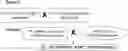 Fig. 01 - METHOD FOR TREATING A DEGENERATIVE NEUROLOGICAL DISORDERS COMPRISING ADMINISTERING ASM INHIBITOR