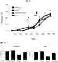 Fig. 05 - METHOD FOR TREATING A DEGENERATIVE NEUROLOGICAL DISORDERS COMPRISING ADMINISTERING ASM INHIBITOR