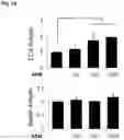 Fig. 11 - METHOD FOR TREATING A DEGENERATIVE NEUROLOGICAL DISORDERS COMPRISING ADMINISTERING ASM INHIBITOR