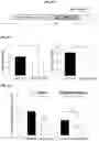 Fig. 16 - METHOD FOR TREATING A DEGENERATIVE NEUROLOGICAL DISORDERS COMPRISING ADMINISTERING ASM INHIBITOR