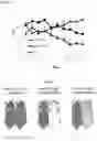 Fig. 17 - METHOD FOR TREATING A DEGENERATIVE NEUROLOGICAL DISORDERS COMPRISING ADMINISTERING ASM INHIBITOR