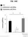 Fig. 31 - METHOD FOR TREATING A DEGENERATIVE NEUROLOGICAL DISORDERS COMPRISING ADMINISTERING ASM INHIBITOR
