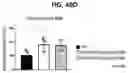Fig. 38 - METHOD FOR TREATING A DEGENERATIVE NEUROLOGICAL DISORDERS COMPRISING ADMINISTERING ASM INHIBITOR