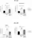 Fig. 44 - METHOD FOR TREATING A DEGENERATIVE NEUROLOGICAL DISORDERS COMPRISING ADMINISTERING ASM INHIBITOR