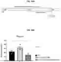 Fig. 47 - METHOD FOR TREATING A DEGENERATIVE NEUROLOGICAL DISORDERS COMPRISING ADMINISTERING ASM INHIBITOR