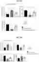 Fig. 50 - METHOD FOR TREATING A DEGENERATIVE NEUROLOGICAL DISORDERS COMPRISING ADMINISTERING ASM INHIBITOR