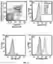 Fig. 16 - ANTIBODIES TO OXIDATION-SPECIFIC EPITOPES
