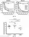 Fig. 19 - ANTIBODIES TO OXIDATION-SPECIFIC EPITOPES