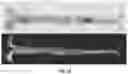 Fig. 20 - ANTIBODIES TO OXIDATION-SPECIFIC EPITOPES