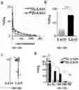 Fig. 24 - ANTIBODIES TO OXIDATION-SPECIFIC EPITOPES