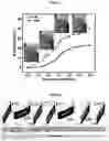 Fig. 06 - Dielectric elastomeric material