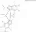 Fig. 03 - Polypropylene Resin, Polypropylene Fiber And Method For Preparing The Same