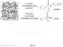 Fig. 09 - FABRICATION OF SOLID MATERIALS OR FILMS FROM A POLYMERIZABLE LIQUID