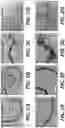 Fig. 03 - POLY(ARYL ETHER KETONE) COMPOSITIONS CONTAINING CARBON-BASED NANOMATERIALS