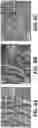 Fig. 09 - POLY(ARYL ETHER KETONE) COMPOSITIONS CONTAINING CARBON-BASED NANOMATERIALS