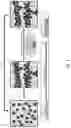 Fig. 04 - Hydrogel composition with thermos-sensitive and ionic reversible properties, carrier, method for preparing and method of use thereof