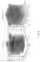 Fig. 11 - Hydrogel composition with thermos-sensitive and ionic reversible properties, carrier, method for preparing and method of use thereof