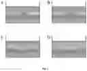 Fig. 03 - PROTEIN HYDROGEL, PREPARATION METHOD AND USE THEREOF