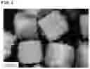 Fig. 03 - METHOD FOR PREPARING FLAME RETARDANT AID AND FLAME RETARDANT RESIN COMPOSITION COMPRISING FLAME RETARDANT AID PREPARED BY SAME