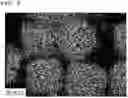 Fig. 04 - METHOD FOR PREPARING FLAME RETARDANT AID AND FLAME RETARDANT RESIN COMPOSITION COMPRISING FLAME RETARDANT AID PREPARED BY SAME
