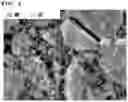 Fig. 07 - METHOD FOR PREPARING FLAME RETARDANT AID AND FLAME RETARDANT RESIN COMPOSITION COMPRISING FLAME RETARDANT AID PREPARED BY SAME
