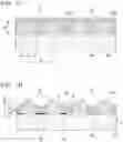 Fig. 02 - Method of forming first protective film