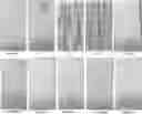 Fig. 01 - Ambient Cure High Temperature Protective Coating