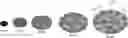 Fig. 01 - Shape-adaptable lost circulation material for moderate and severe loss control