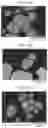 Fig. 08 - Green phosphor, phosphor sheet, and light-emitting device