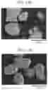 Fig. 09 - Green phosphor, phosphor sheet, and light-emitting device