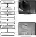 Fig. 01 - Method of preparing heavy oil-derived anisotropic pitch for carbon fiber based on mesogen separation