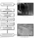 Fig. 02 - Method of preparing heavy oil-derived anisotropic pitch for carbon fiber based on mesogen separation