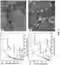 Fig. 08 - Mechanically resilient bitumen microcapsules for midstream transport