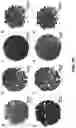 Fig. 11 - Mechanically resilient bitumen microcapsules for midstream transport