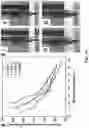 Fig. 12 - Mechanically resilient bitumen microcapsules for midstream transport