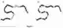 Fig. 02 - Highly random addition bypolymers for destabilization of complex emulsions in crude oil blends