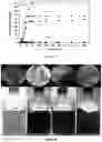 Fig. 18 - Highly random addition bypolymers for destabilization of complex emulsions in crude oil blends