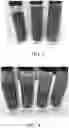 Fig. 03 - Opacified liquid detergent composition comprising a fatty acid/Mg cation/Ca cation mixture and having improved structural stability